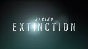 Racing Extinction  Hollywood Health & Society