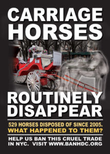Why Horse Drawn Carriages are Cruel to Horses