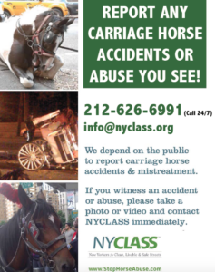 Why Horse-Drawn Carriages are Cruel to Horses