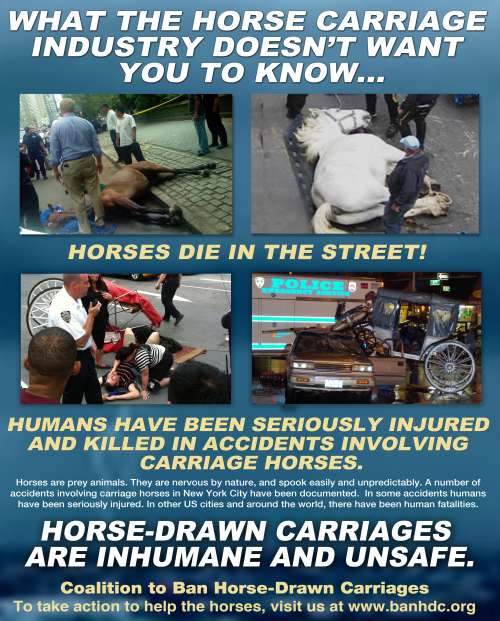 Why Horse-Drawn Carriages are Cruel to Horses