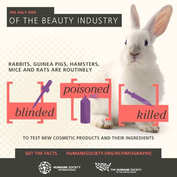 How to End Animal Testing