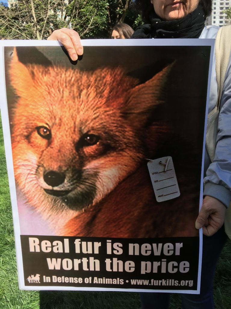 The brands that are fur free and the ones who are still using fur
