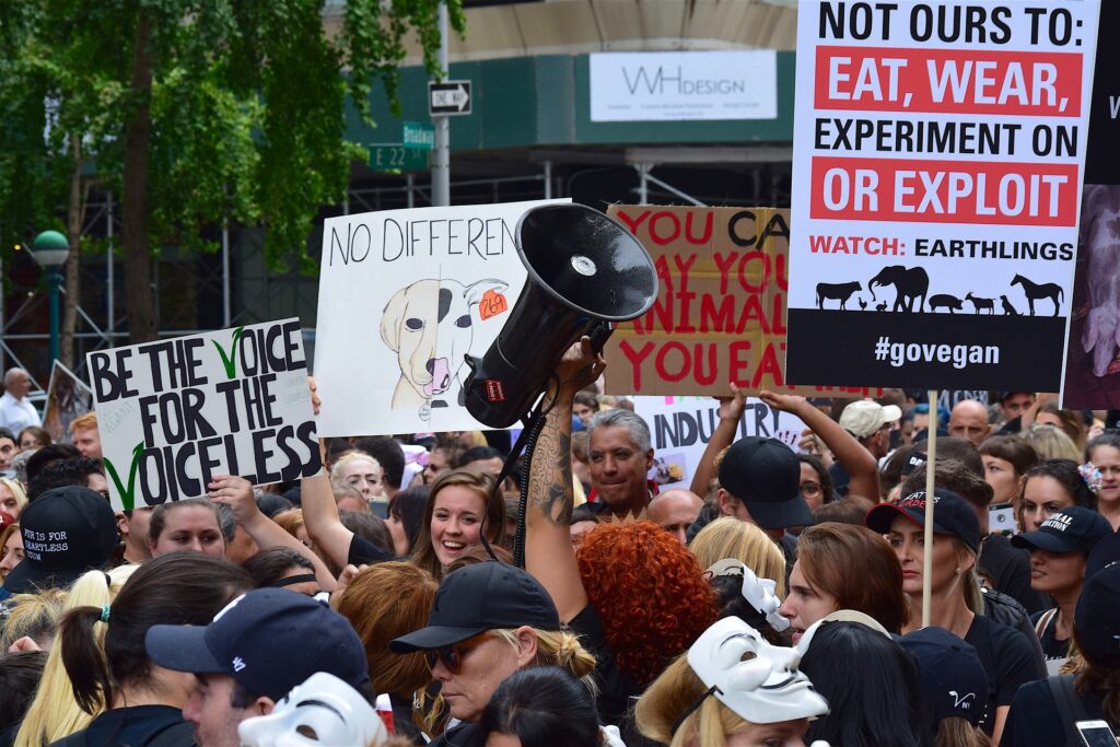 2021 Animal Rights, Welfare and Animal Advocacy Events