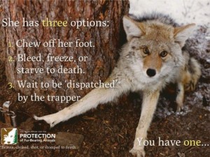 The Ugly Truth About the Fur Industry, Fur Farms and Fur Trapping ...