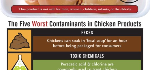 The Five Contaminants of Eating Chicken
