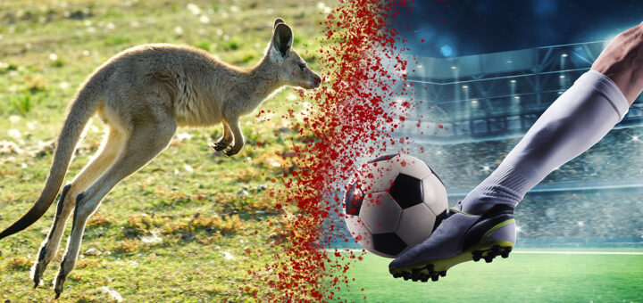 Millions of Kangaroos Are Killed for Soccer Shoes