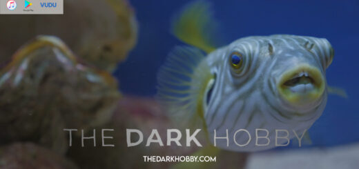 The Dark Hobby