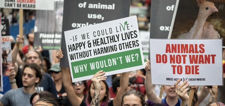 Humane Decisions - Taking personal action to end all animal ...